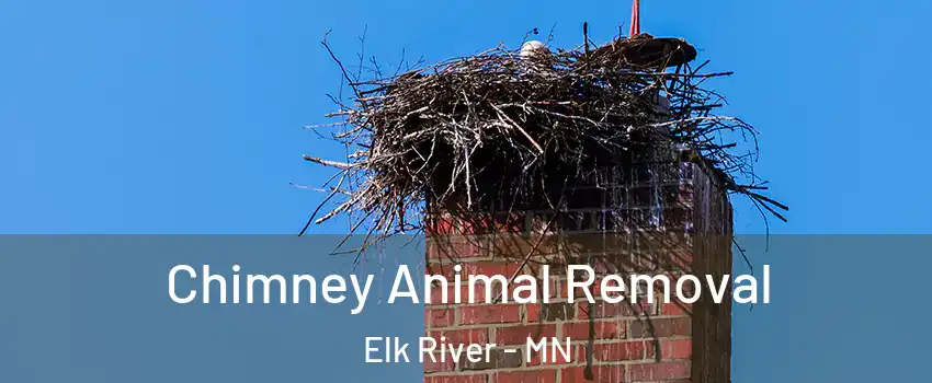  Chimney Animal Removal Elk River - MN