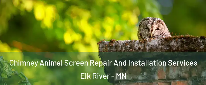  Chimney Animal Screen Repair And Installation Services Elk River - MN