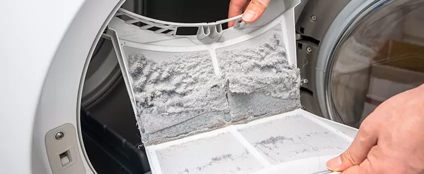Best Dryer Lint Removal Company in Elk River, Minnesota