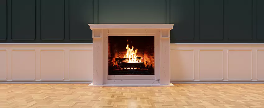 Napoleon Electric Fireplaces Inspection Service in Elk River, Minnesota