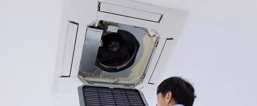 Benefits of Professional Air Duct Cleaning in Elk River, Minnesota