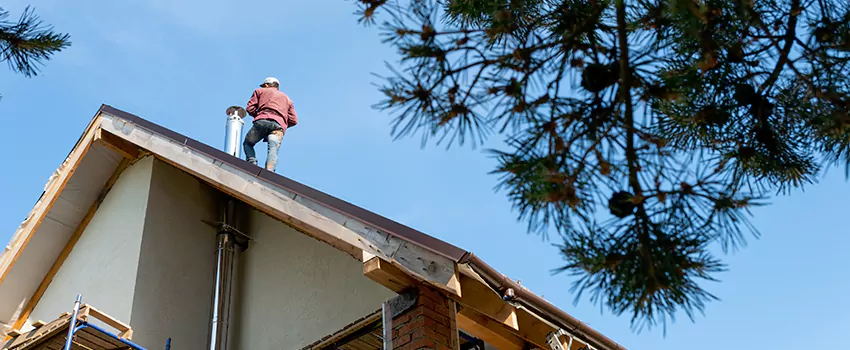 Birds Removal Contractors from Chimney in Elk River, MN