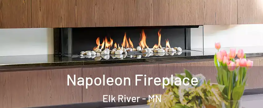  Napoleon Fireplace Elk River - MN