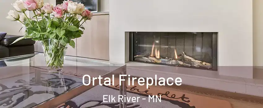  Ortal Fireplace Elk River - MN